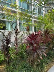 Viz At Holland (D10), Condominium #474649381